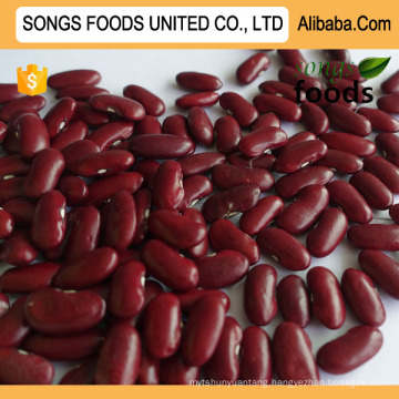 Edible Kidney Beans, Songs Foods Red Kidney Beans